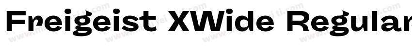 Freigeist XWide Regular字体转换